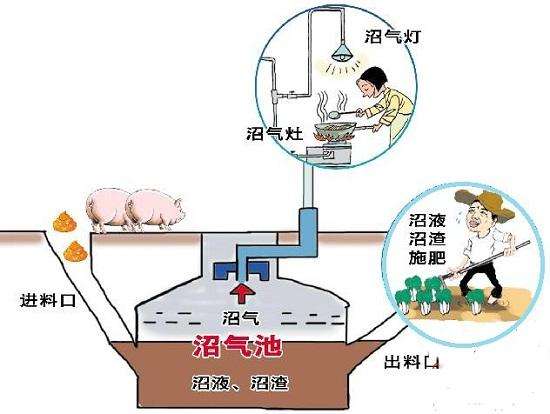 太陽能與沼氣技術利用專業(yè)