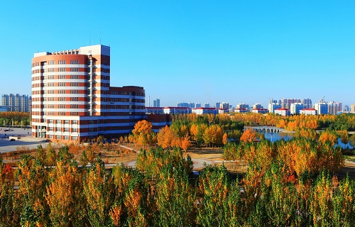 東北石油大學(xué)自考