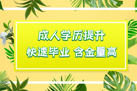 專升本成功到手本科雙證還有必要繼續(xù)考研深造嗎