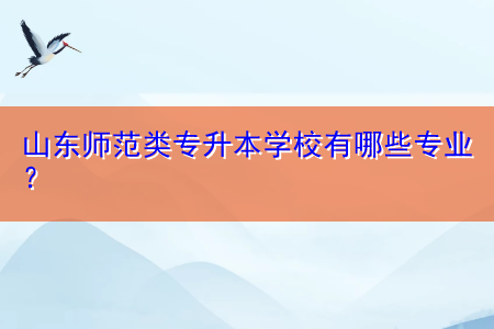 山東師范類專升本學校有哪些專業(yè)？