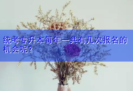 統考專升本每年一共有幾次報名的機會呢？