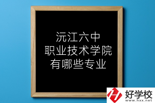 湖南沅江六中職業(yè)技術(shù)學(xué)院有哪些專業(yè)？