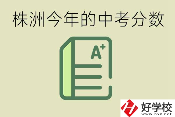 株洲今年中考多少分能上高中？沒考上有什么選擇？