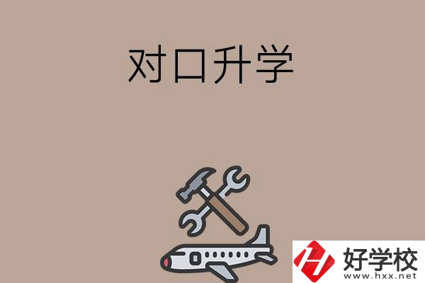 職高學(xué)生參加湖南省對口升學(xué)，有什么本科可以報考？