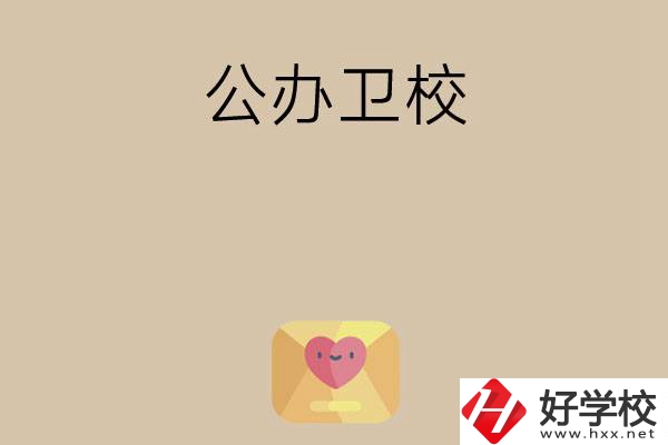 想在湖南上公辦衛(wèi)校？這所學(xué)校值得一看