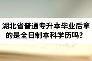 湖北省普通專升本畢業(yè)后拿的是全日制本科學(xué)歷嗎？