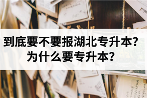 到底要不要報(bào)湖北專升本？為什么要專升本？