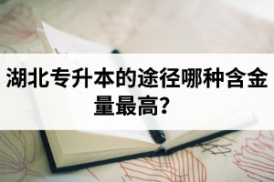 湖北普通專升本英譯漢段落翻譯分析應該怎么做？