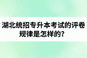 湖北統(tǒng)招專升本考試的評卷規(guī)律是怎樣的？怎么避免丟失細(xì)節(jié)分？