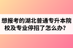 想報(bào)考的湖北普通專升本院校及專業(yè)停招了怎么辦？