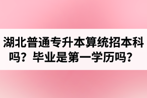 湖北普通專升本算統(tǒng)招本科嗎？專升本學歷是第一學歷嗎？