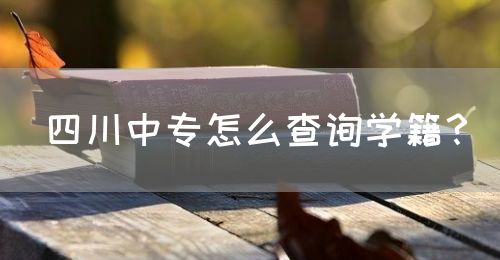 四川中專怎么查詢學(xué)籍？(圖1)