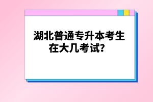 湖北普通專升本考生在大幾考試？