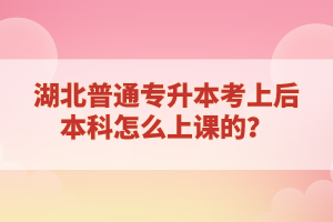 湖北普通專升本考上后本科怎么上課的？