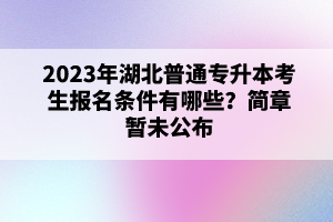 2023年湖北普通專升本考生報(bào)名條件有哪些？簡章暫未公布