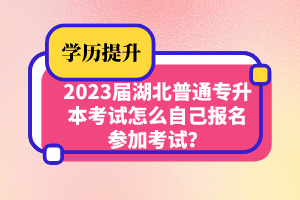 2023屆湖北普通專升本考試怎么自己報名參加考試？