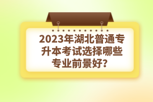 2023年湖北普通專(zhuān)升本考試選擇哪些專(zhuān)業(yè)前景好？