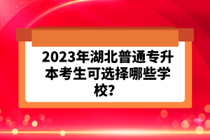 2023年湖北普通專升本考生可選擇哪些學校？