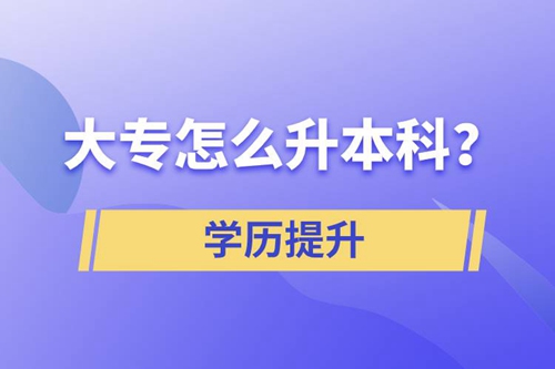 大專怎么升本科？