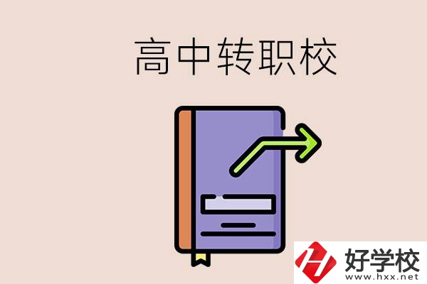 有在讀高中不想讀轉(zhuǎn)職校的例子嗎？能轉(zhuǎn)到湖南職校嗎？