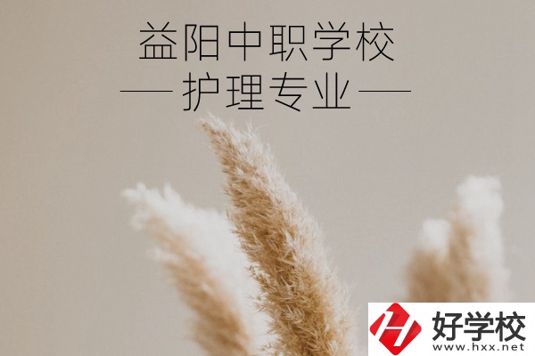 益陽護(hù)理專業(yè)的中職學(xué)校有哪些？需要哪些要求？