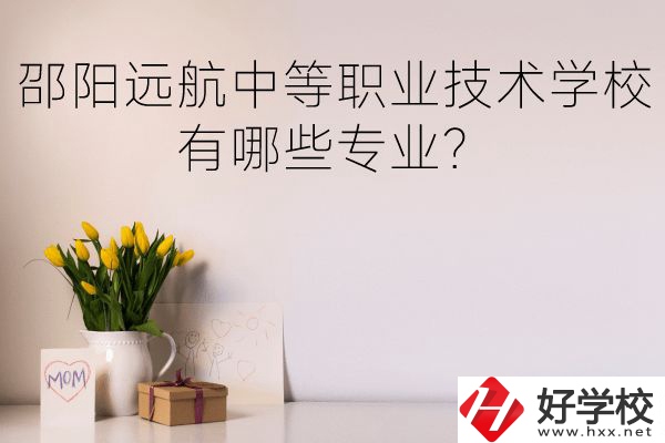 邵陽遠航中等職業(yè)技術學校有哪些專業(yè)？