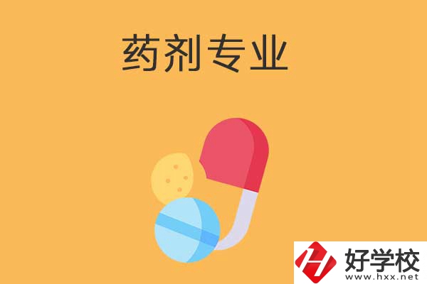 衡陽(yáng)市有開(kāi)設(shè)藥劑專業(yè)的中專學(xué)校嗎？招生人數(shù)多嗎？