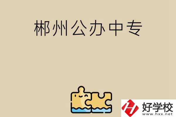 郴州公辦中專(zhuān)有哪些開(kāi)設(shè)了電子商務(wù)專(zhuān)業(yè)？