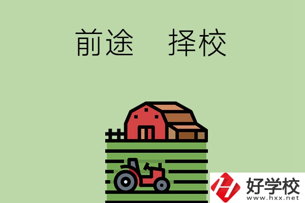 在長(zhǎng)沙讀中職學(xué)校有前途嗎，如何擇校？