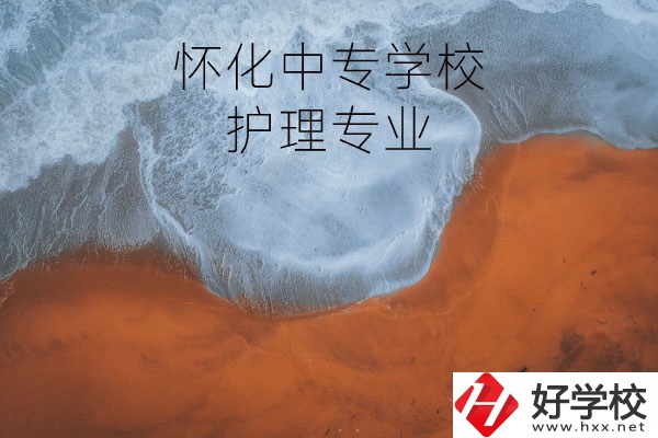 懷化有學(xué)護(hù)理專業(yè)的中專學(xué)校嗎？