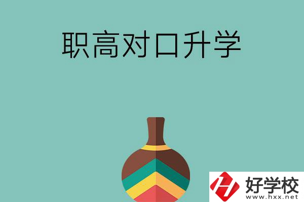 湖南職高對(duì)口升學(xué)可以考哪些大專(zhuān)？