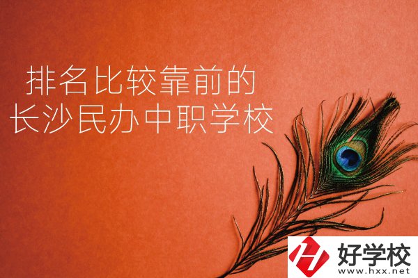 長沙哪些民辦中職學(xué)校排名比較靠前？