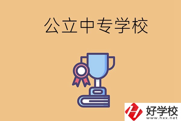 常德的公立中專學(xué)校有哪些？有什么特色？