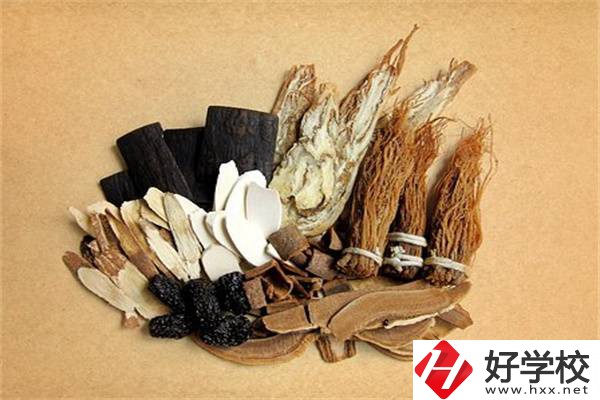 在湘西學(xué)中草藥栽培怎么樣？開設(shè)此專業(yè)的學(xué)校有哪些？