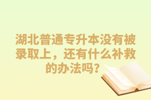 湖北普通專升本沒有被錄取上，還有什么補(bǔ)救的辦法嗎？