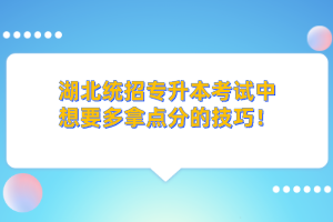 湖北統(tǒng)招專升本的學歷和本科學歷考公務(wù)員一樣嗎？