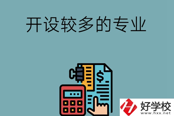 湖南的中職學(xué)校開設(shè)較多的專業(yè)是哪些？