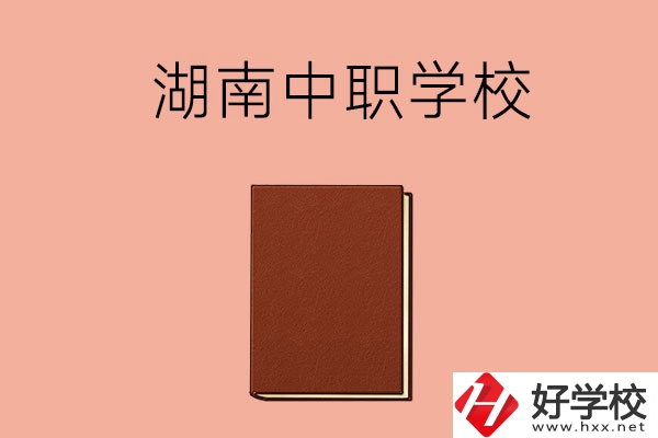 湖南有哪些就業(yè)率比較高的中職學(xué)校？