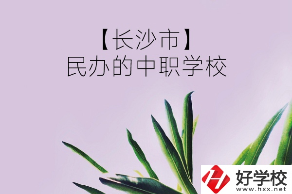 長沙市有哪些民辦的中職學(xué)校？