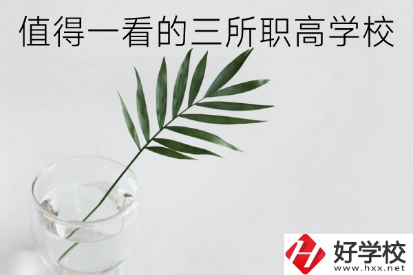 湖南有什么好的職高學(xué)校？這3所學(xué)校值得一看！