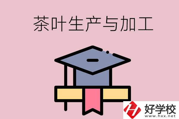 湖南哪些技校開設(shè)了茶葉生產(chǎn)與加工專業(yè)？