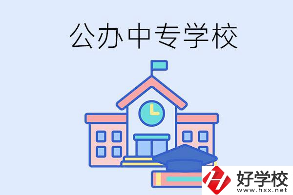 湘西一共有多少所公辦的中專學(xué)校？