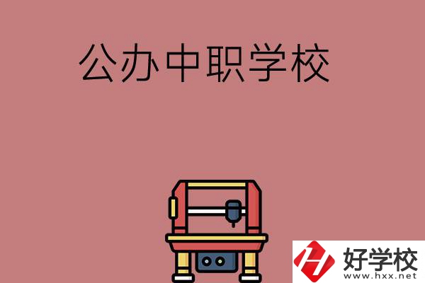 長(zhǎng)沙可以學(xué)計(jì)算機(jī)應(yīng)用專(zhuān)業(yè)的公辦中職學(xué)校有哪些？