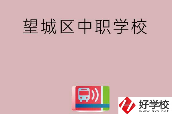 長沙望城區(qū)哪些中職學校？