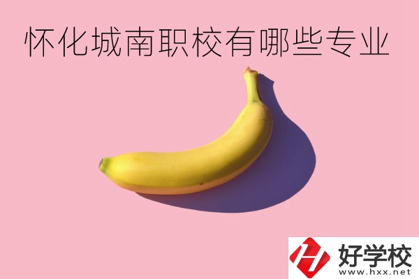 懷化城南職業(yè)學(xué)校有哪些專業(yè)？學(xué)校好不好？