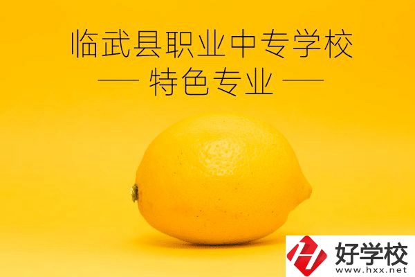 臨武縣職業(yè)中專學(xué)校好嗎？有哪些特色專業(yè)？