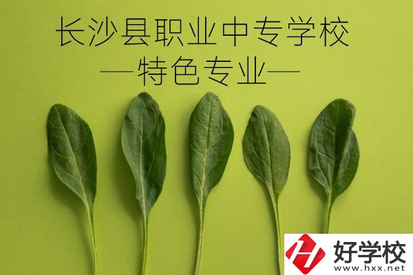 長沙縣職業(yè)中專學校怎么樣？有什么特色專業(yè)？