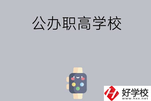 長(zhǎng)沙哪些公辦職高學(xué)校比較有特色？