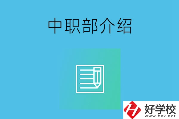 湘潭院校中職部介紹，這幾所學(xué)校你知道嗎？