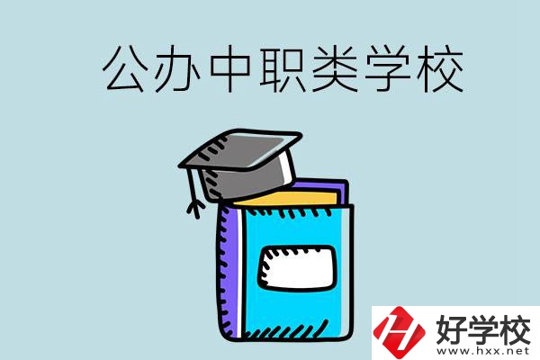 湘西的公辦中職類學(xué)校一共有多少所？